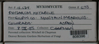 Image Associated With the Occurence
